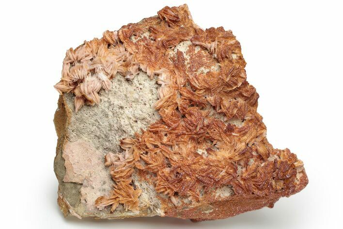 Ruby Red Vanadinite Crystals on Bladed Barite - Morocco #233085